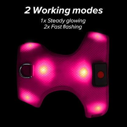 "USB Rechargeable LED Light-Up Dog Harness - Reflective & Adjustable - No-Pull Safety Vest for Dogs"