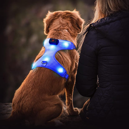 "USB Rechargeable LED Light-Up Dog Harness - Reflective & Adjustable - No-Pull Safety Vest for Dogs"