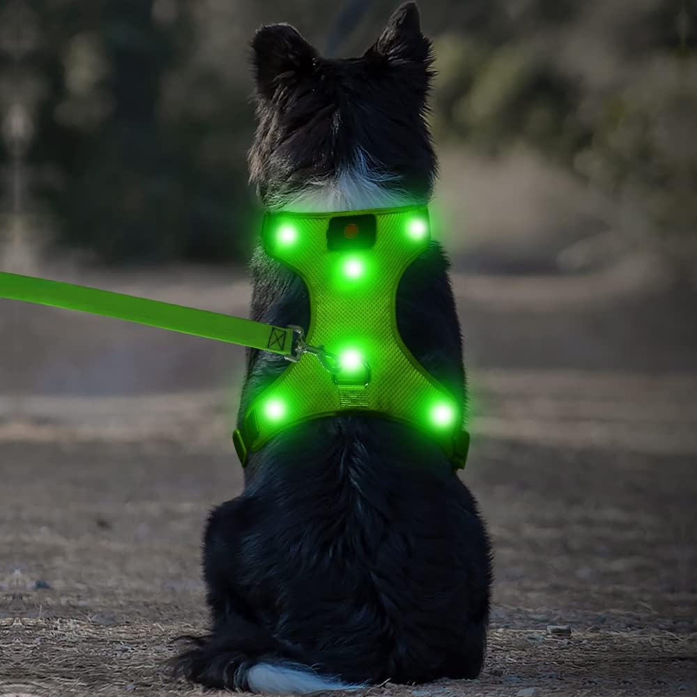 "USB Rechargeable LED Light-Up Dog Harness - Reflective & Adjustable - No-Pull Safety Vest for Dogs"