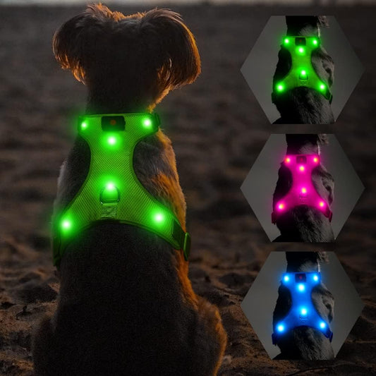 "USB Rechargeable LED Light-Up Dog Harness - Reflective & Adjustable - No-Pull Safety Vest for Dogs"