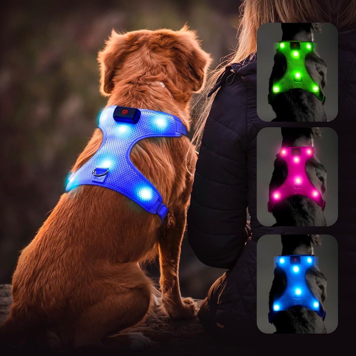 "USB Rechargeable LED Light-Up Dog Harness - Reflective & Adjustable - No-Pull Safety Vest for Dogs"