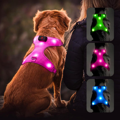 "USB Rechargeable LED Light-Up Dog Harness - Reflective & Adjustable - No-Pull Safety Vest for Dogs"