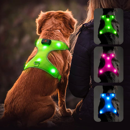 "USB Rechargeable LED Light-Up Dog Harness - Reflective & Adjustable - No-Pull Safety Vest for Dogs"